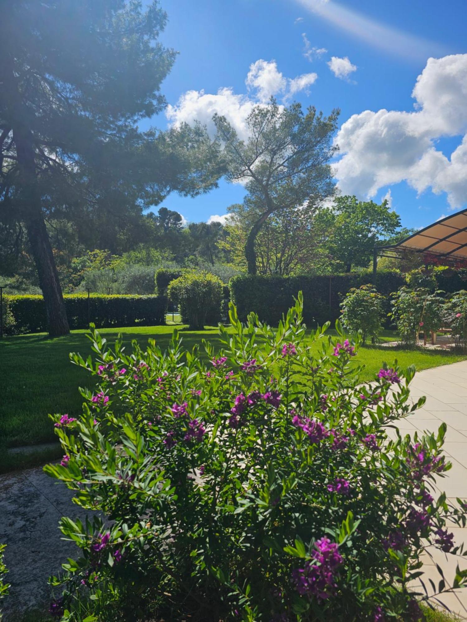 Villa Monacelli B&B Fano Εξωτερικό φωτογραφία